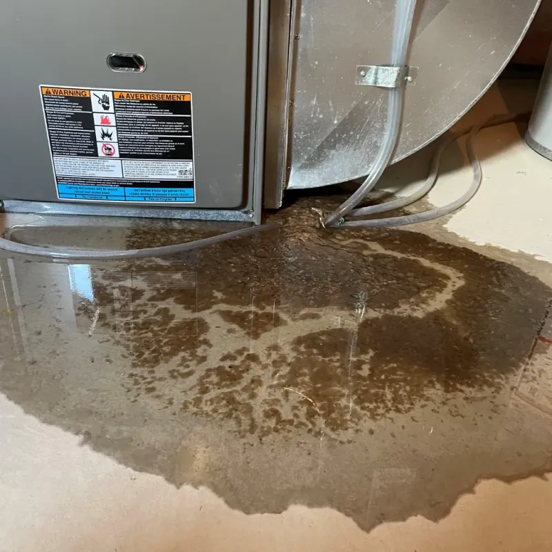 Appliance Leak Cleanup in Jena, LA